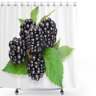 Personality  Blackberries Shower Curtains