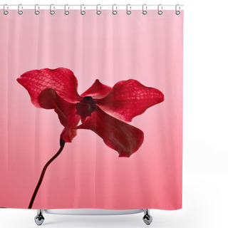 Personality  Colorful Red Orchid Flower Isolated On Red Shower Curtains