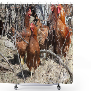 Personality  Rooster, Red Shower Curtains