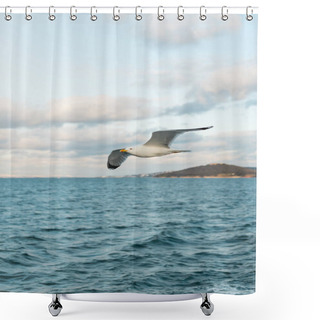 Personality  Seagull Flying In Sky Over Blue Sea Of Bosporus In Turkey  Shower Curtains