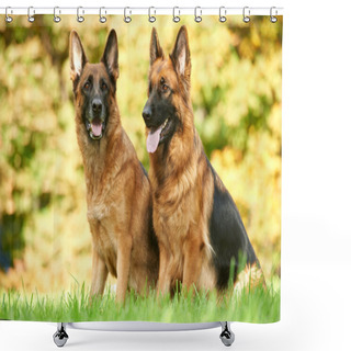 Personality  Two German Shepherd Dog Shower Curtains