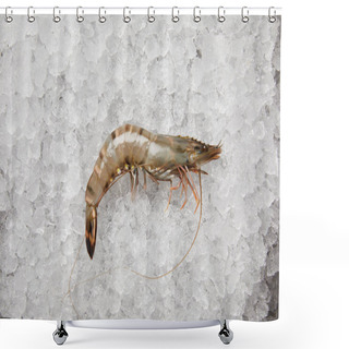 Personality  Top View Of Raw Prawn On Crushed Ice Shower Curtains