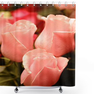 Personality  Young Rosebuds Shower Curtains