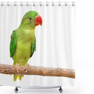 Personality  Beautiful Green Parrot Shower Curtains