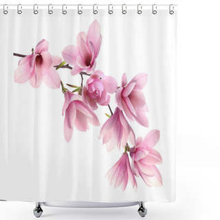 Personality  Beautiful Pink Magnolia Flowers On White Background Shower Curtains
