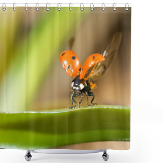 Personality  Ready To Fly. Closeup Of Ladybug Shower Curtains