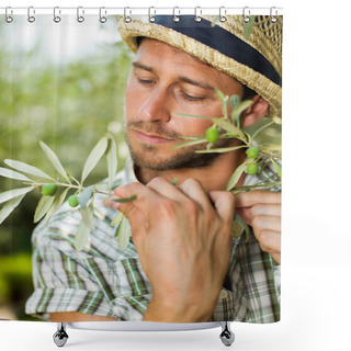 Personality  Farmer Checks The State Of Maturity Of Its Olives Shower Curtains