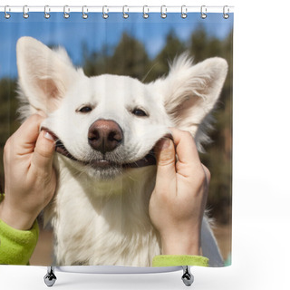 Personality  Swiss Shepherd Dog Smiles Shower Curtains