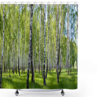 Personality  Summer Birch Forest Landscape Shower Curtains