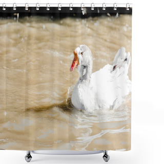 Personality  White Duck Swimming In Pond In Zoo Shower Curtains