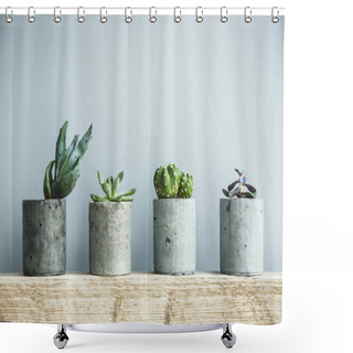 Personality  Succulent Plants In Pots Shower Curtains