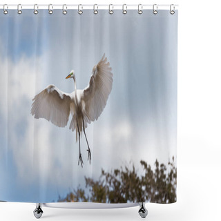Personality  Egret In Flight, Wings Outspread Shower Curtains