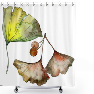 Personality  Green And Yellow Ginkgo Biloba Leaves Isolated On White. Watercolor Background Illustration Set.  Shower Curtains