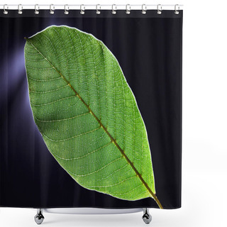 Personality  Through The Light Of The Green Leaf Pattern On A Dark Background. Beautiful Macro Photo As Mockup. Flat Lay Shower Curtains