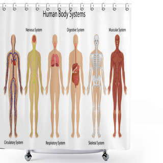 Personality  Human Body Systems Shower Curtains