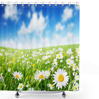 Personality  Field Of Daisy Flowers Shower Curtains