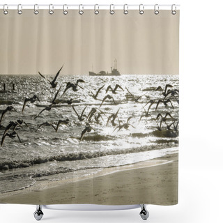 Personality  Abstract Flock Of Birds Above A Beac Shower Curtains
