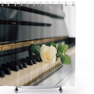 Personality  Selective Focus Of Beautiful Yellow Rose On Piano Keys  Shower Curtains
