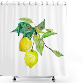 Personality  Seamless Pattern Lemon On White And Color Background. Shower Curtains
