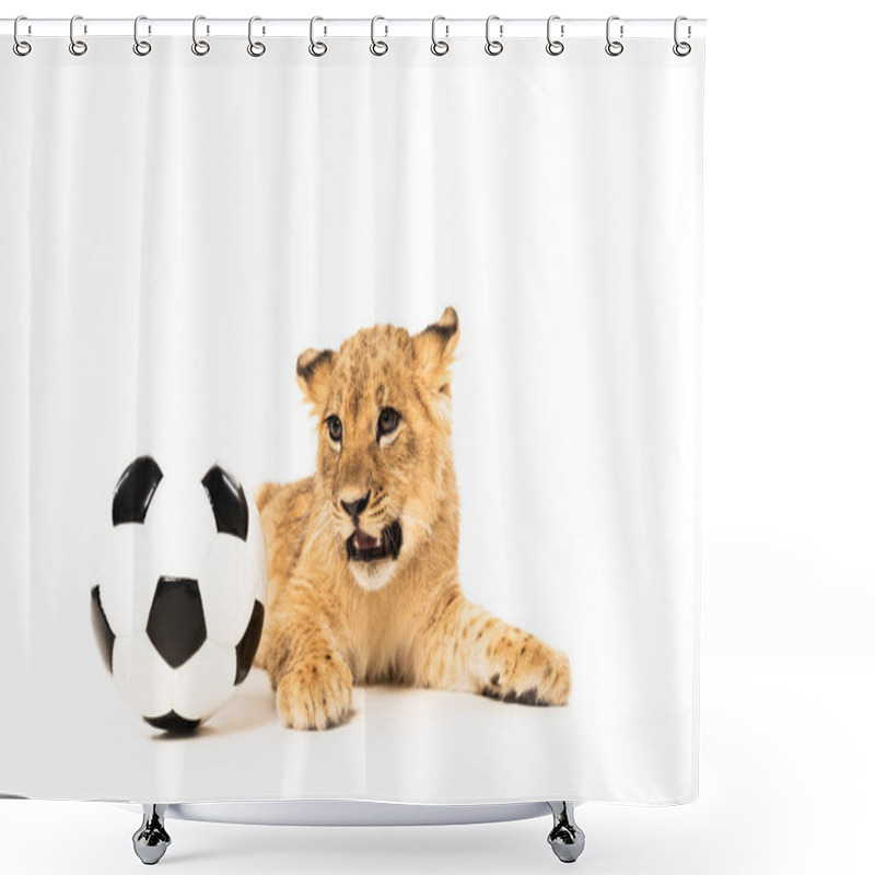 Personality  cute lion cub near soccer ball isolated on white shower curtains