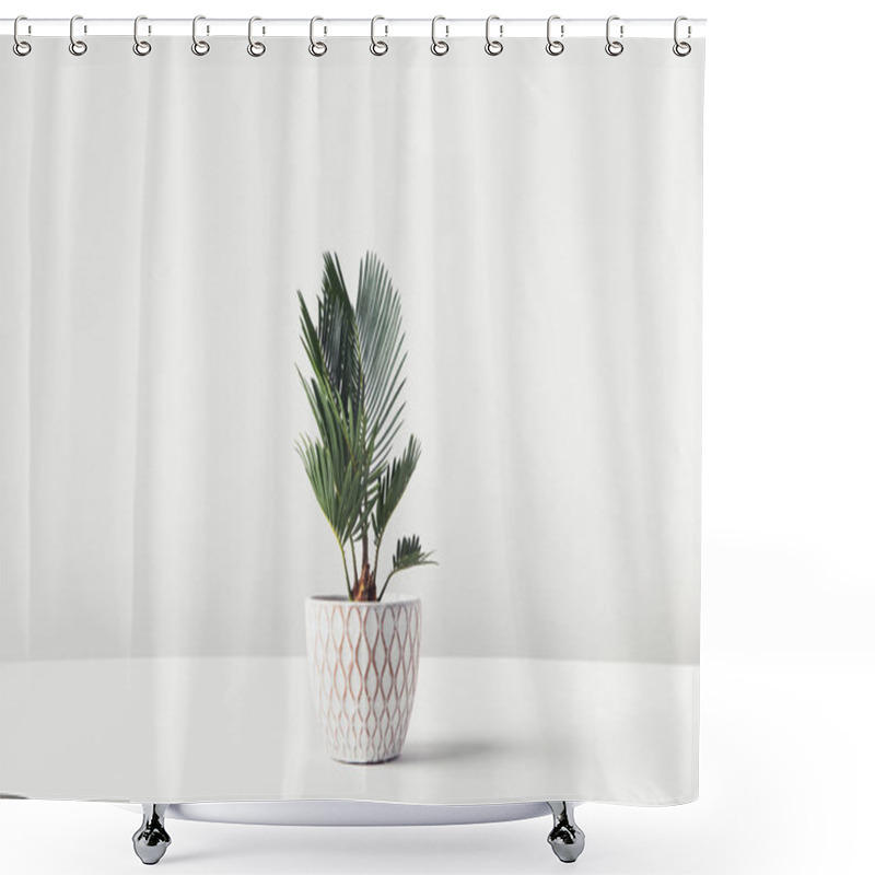 Personality  beautiful green houseplant growing in decorative pot on white   shower curtains