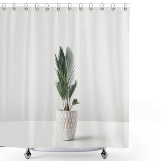 Personality  Beautiful Green Houseplant Growing In Decorative Pot On White   Shower Curtains