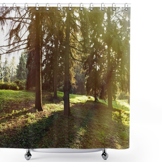 Personality  Sunrise In Forest Shower Curtains