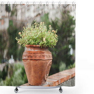 Personality  Selective Focus Of Green Plant With Flowers In Flowerpot  Shower Curtains
