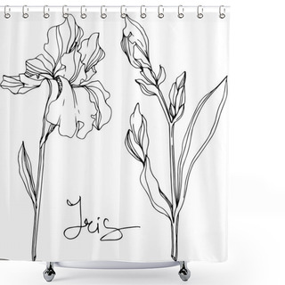Personality  Vector Iris Flowers. Wildflowers Isolated On White. Black And White Engraved Ink Art With 'iris' Lettering Shower Curtains