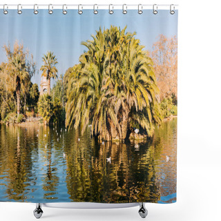 Personality  Lush Green Trees And Beautiful Lake In Parc De La Ciutadella, Barcelona, Spain Shower Curtains