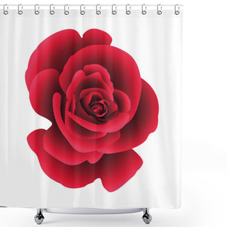 Personality  Single Flower Rose. Shower Curtains