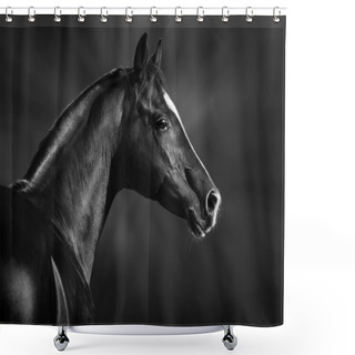 Personality  Portrait Of Black Arabian Horse Shower Curtains