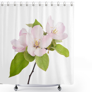 Personality  Apple Flowers Branch Shower Curtains
