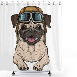 Personality  Pug. Cute Animal Portrait. Dog Head. Vintage Aviator Helmet With Googles. Shower Curtains