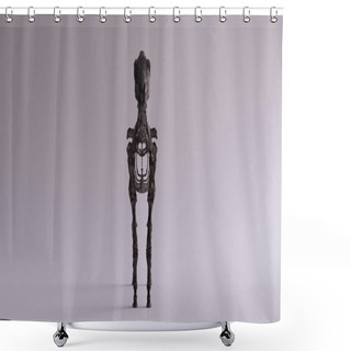 Personality  Black Iron Horse Skeletal System Anatomical Model Front View 3d Illustration 3d Render Shower Curtains