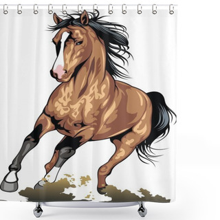 Personality  Brown Horse Isolated Shower Curtains