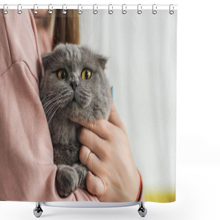 Personality  Cropped Shot Of Woman Carrying Cute Scottish Fold Cat Shower Curtains