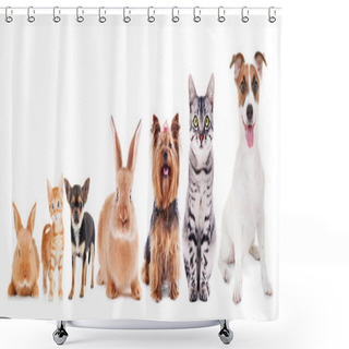 Personality  Cute Friendly Pets Shower Curtains