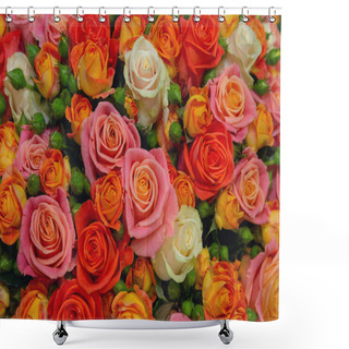 Personality  Carpet Of Beautiful Multi-colored Roses. Floral Background Shower Curtains