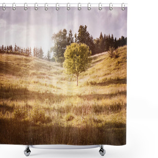 Personality  Rural Landscape With Single Tree Shower Curtains