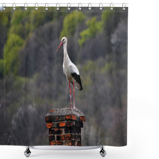 Personality  White Stork On Chimney_2 Shower Curtains