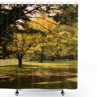 Personality  Autumn Trees With Sunlight On Meadow In Central Park In New York City Shower Curtains