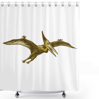 Personality  Pterodactyl Shower Curtains