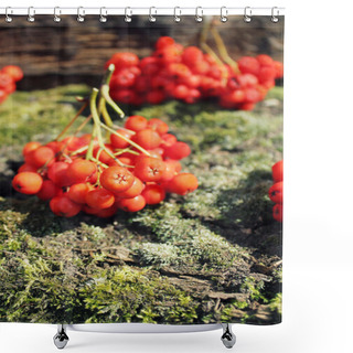 Personality  Bunch Of Rowan Berries Shower Curtains