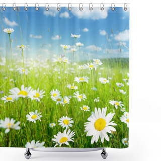 Personality  Field Of Summer Flowers Shower Curtains