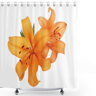 Personality  Lilies On White Shower Curtains