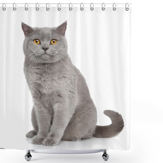 Personality  British Shorthair Cat Portrait Shower Curtains