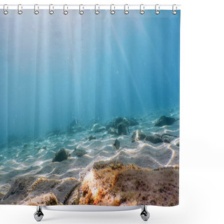 Personality  Underwater Scene Sunlight, Fish Underwater Life. Shower Curtains