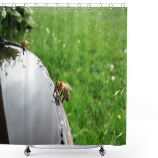 Personality  Drinking Honeybee Shower Curtains