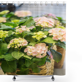 Personality  Beautiful Flowers In Flower Shop Shower Curtains